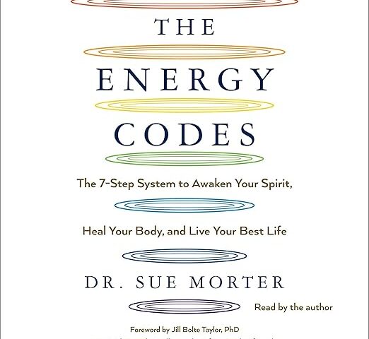The Energy Codes book cover.